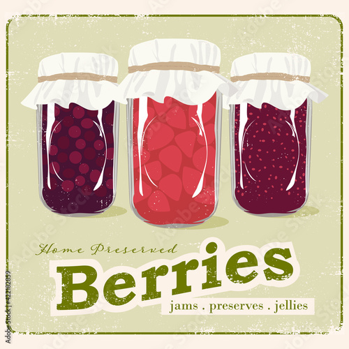 A vector vintage style poster of home canned berries in jars
