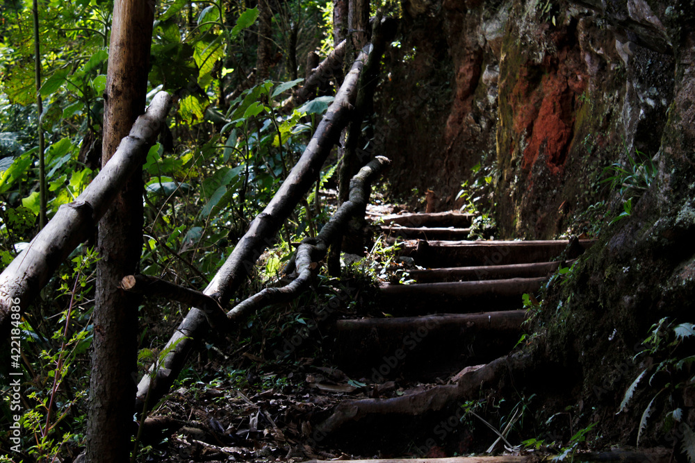 Fototapeta premium Escalera Subida Sendero