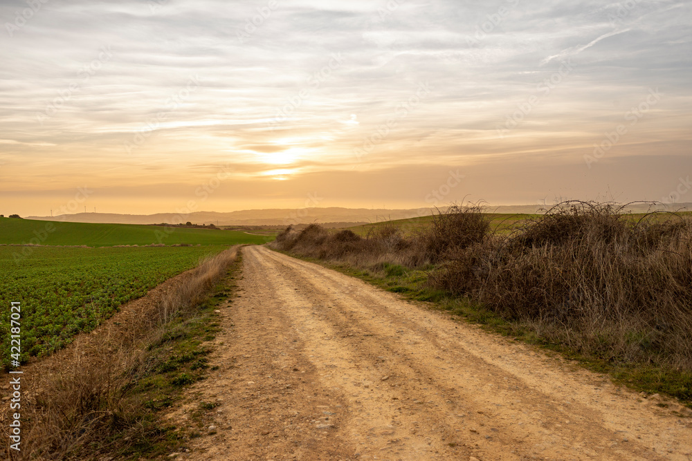 road in the field road in the field