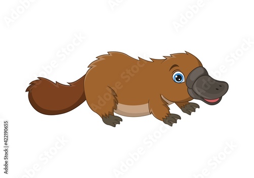 Cartoon cute platypus isolated on white background