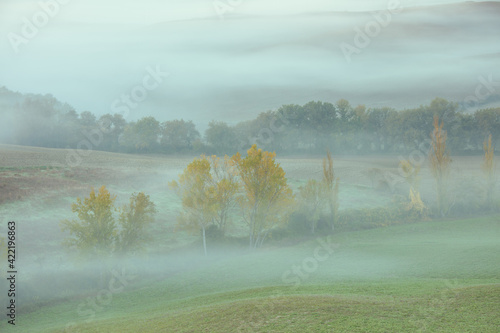Canvas Print landscape with hills and fog