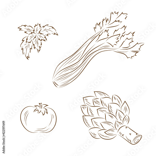 Line art Vegetables. Vector set of vegetables: basil, celery, tomato, artichoke
