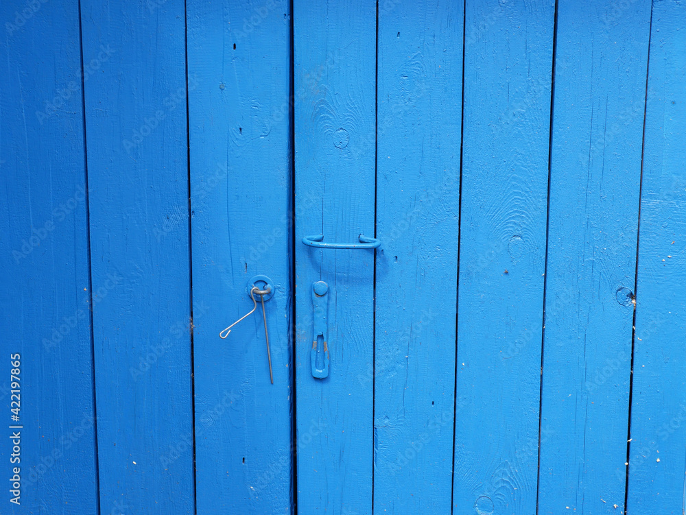 The wooden old barn door is bright blue with a metal handle. Bright The wooden old barn door is bright blue with a metal handle. Bright