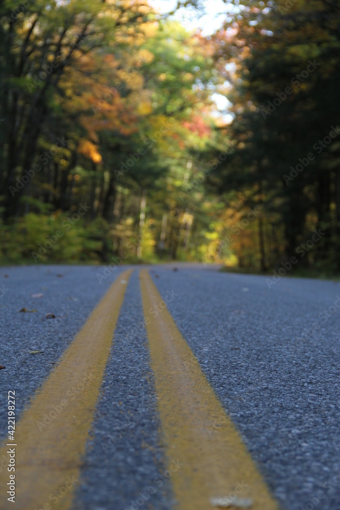 Fototapeta premium Colorful Autumn Road through the Forest