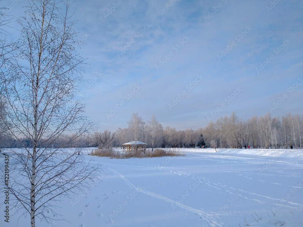 View of the winter park of the Omsk city. View of the winter park of the Omsk city.