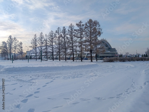 Fotografie View of the winter park of the Omsk city.
