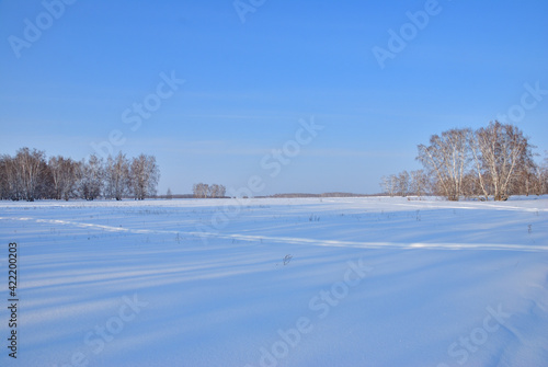 Winter landscape of Siberian fields © alekskai