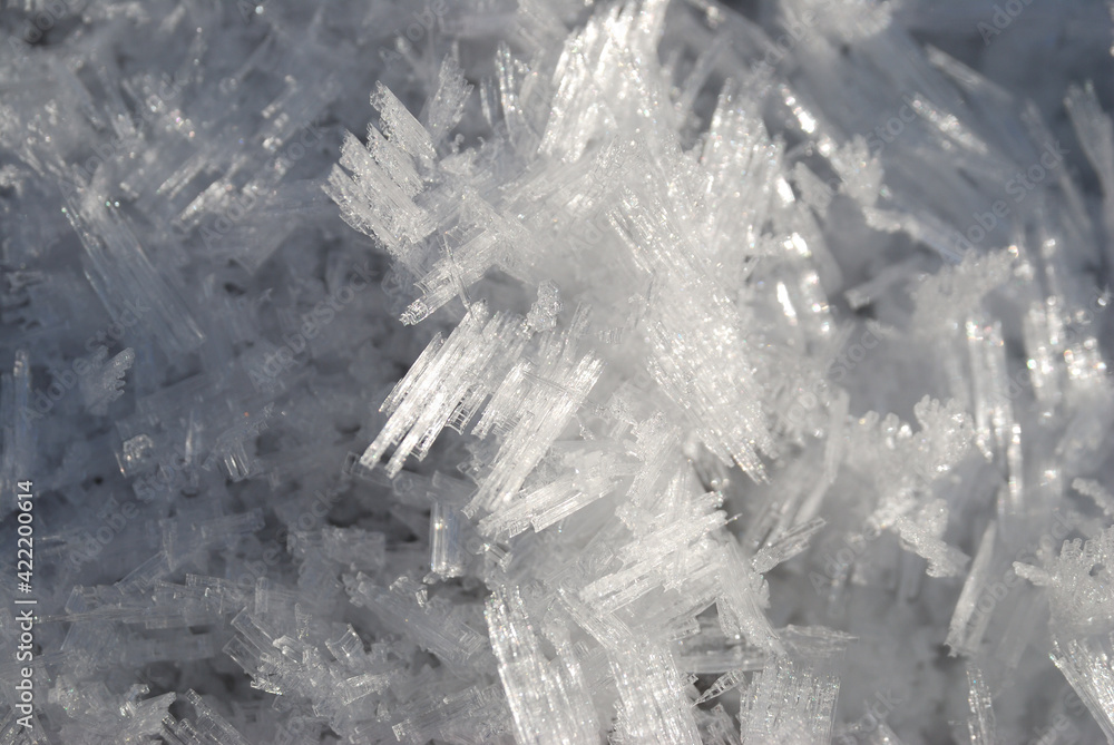Last ice Last ice