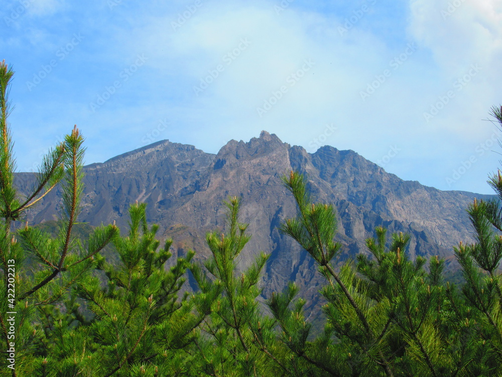 桜島 湯之平展望所 桜島 湯之平展望所