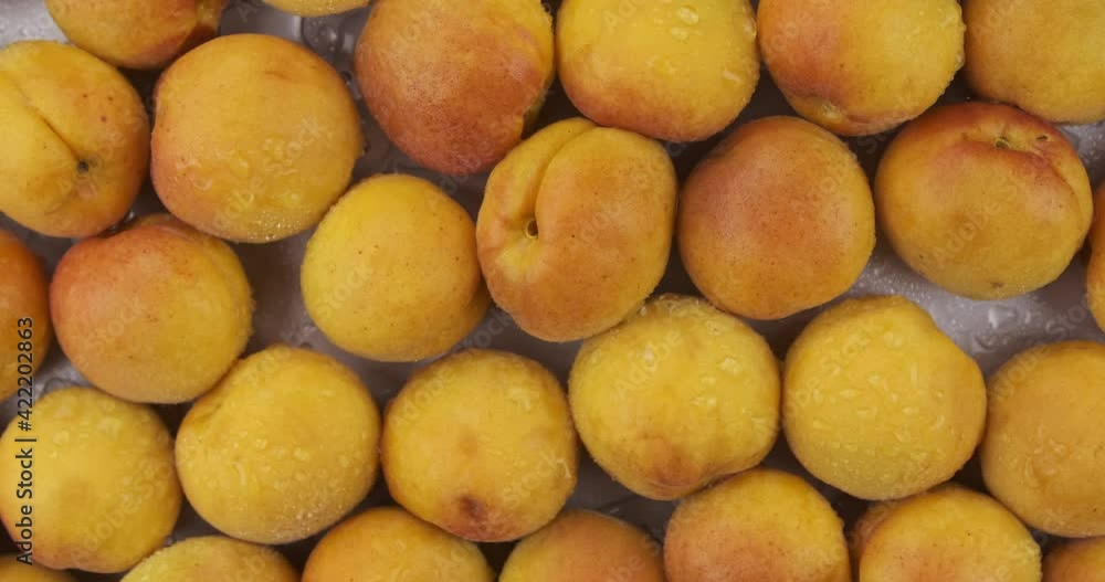 Rotation and zoom of a heap of apricots in dew drops. Fruit background. Rotation and zoom of a heap of apricots in dew drops. Fruit background.