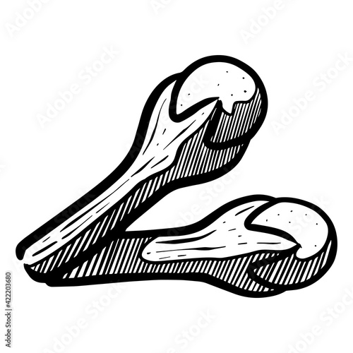 clove hand drawn vector illustration.