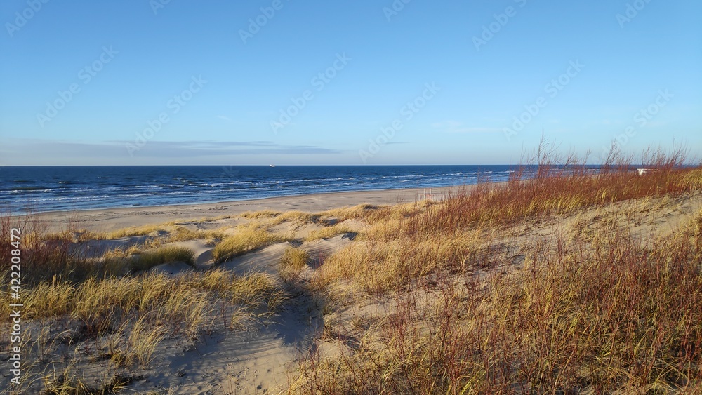 dunes and sea