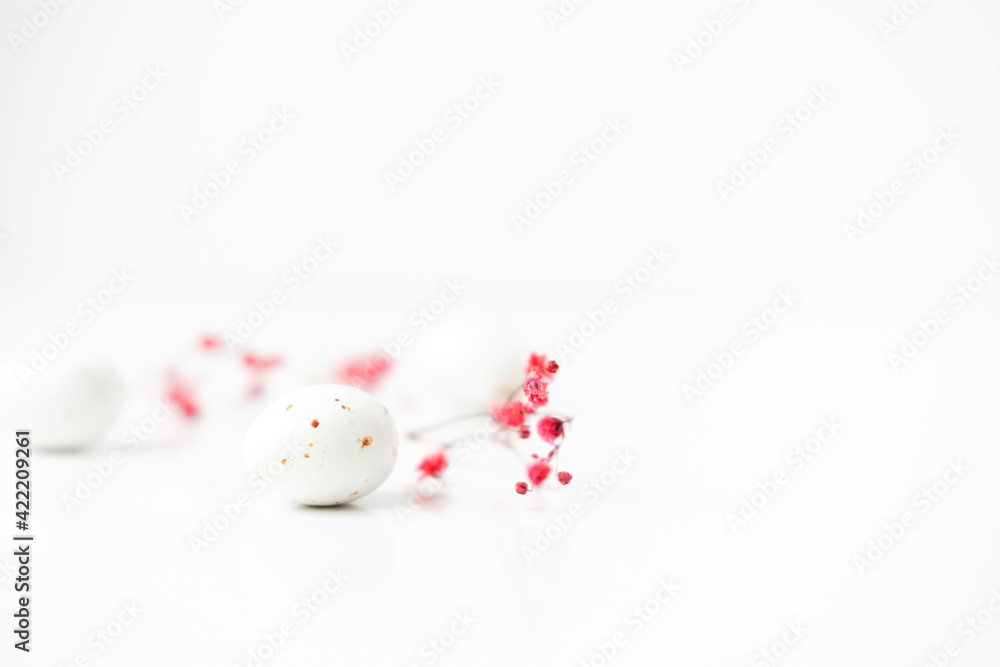 Easter minimal composition with egg and flowers on the white background. Easter concept. Copy space. Easter minimal composition with egg and flowers on the white background. Easter concept. Copy space.