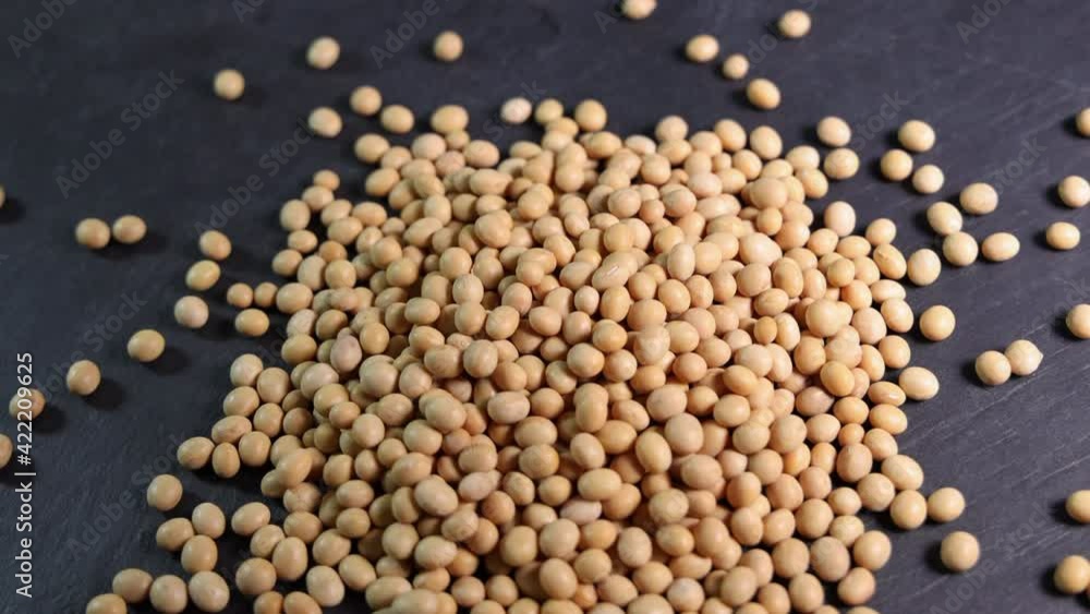 Soyabeans soya beans dropping powering over black slate background motion flow Soyabeans soya beans dropping powering over black slate background motion flow