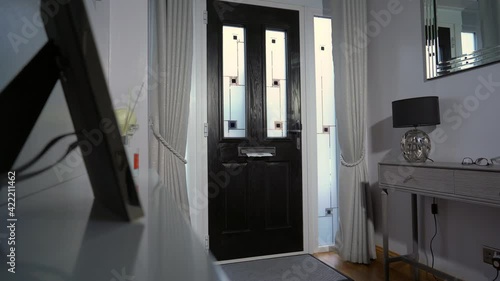 Dog goes crazy when mailman comes to door and attacks post being pushed through letterbox by post man