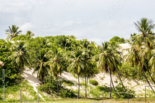 Wallpaper Mural Mague seco, Bahia Torontodigital.ca