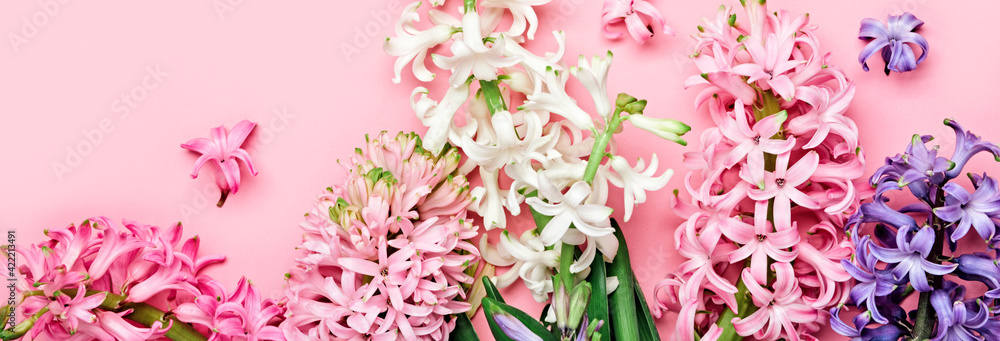 Flowers festive composition. Pink Spring or Easter Floral Background. Beautiful hyacinths flowers, Hello spring concept