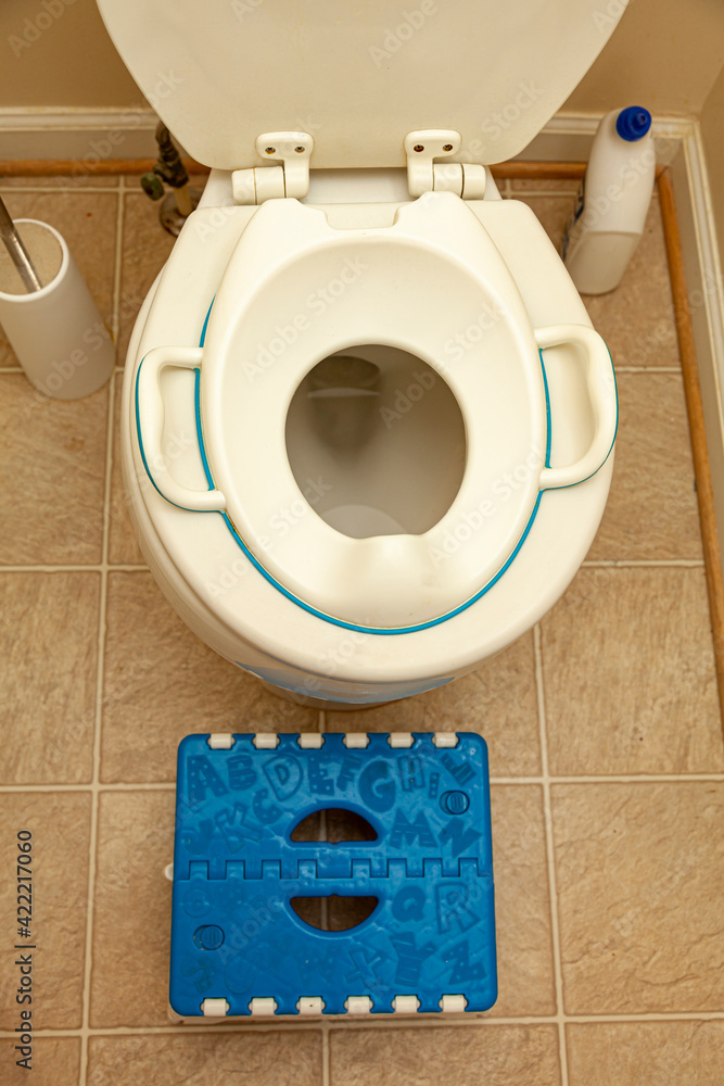 A child toilet seat attachment placed on top of a toilet for a kid