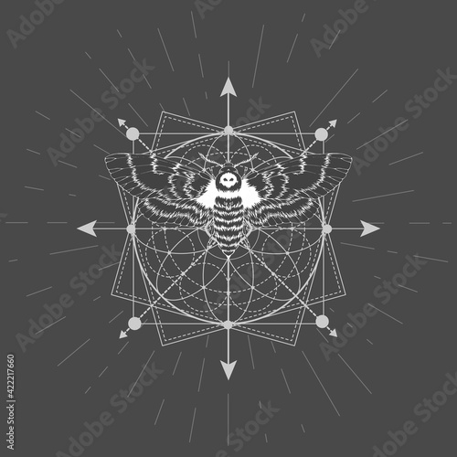 Vector illustration with hand drawn butterfly Dead head and Sacred geometric symbol on black background. Abstract mystic sign. White linear shape.