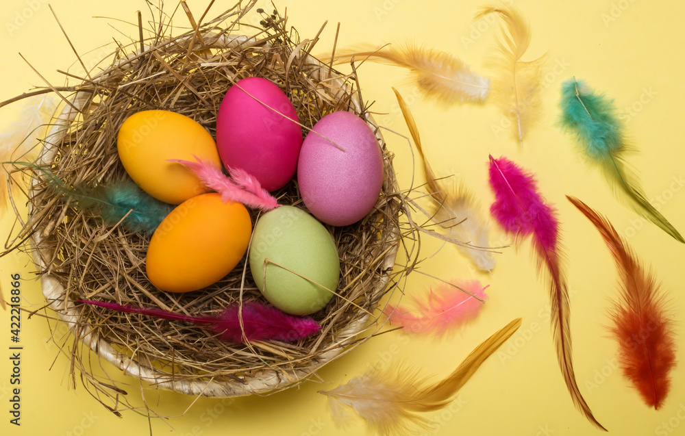 flat laying, colored easter eggs in a nest on a yellow background with colored feathers flat laying, colored easter eggs in a nest on a yellow background with colored feathers