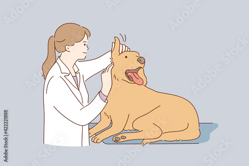 Veterinarian doctor during work concept. Young kind smiling woman veterinarian in white uniform working at office examining ears dog vector illustration 