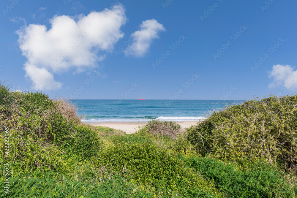 Dunes covered with green grass against the background of the sea and sky