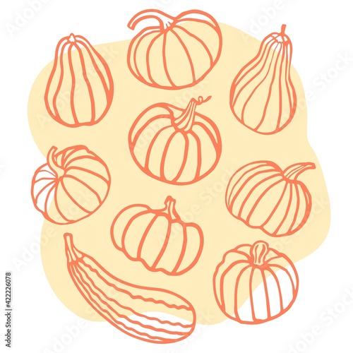 Set with Pumpkin  on orange background. Autumn harvest. Hand drown Vector illustration. Paper, menu, restaurant, cafe and textile design.Farming, Halloween celebrating. Gifts by nature.