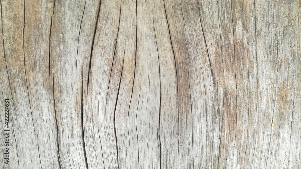 Solid wood with fine line cracks as a background.
