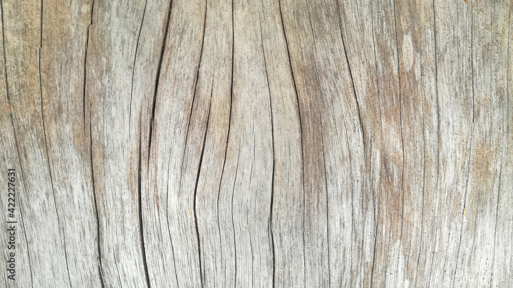 Solid wood with fine line cracks as a background. Solid wood with fine line cracks as a background.