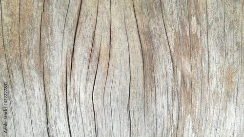 Solid wood with fine line cracks as a background.