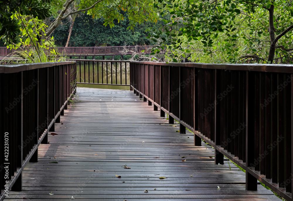 Wooden bridge in the park. natural background.