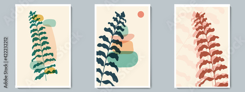 Botanical Wall Art Vector Poster Colored Set. Minimalist Foliage with Abstract Simple Shape