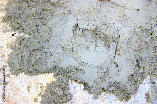 Background image. Wall texture.