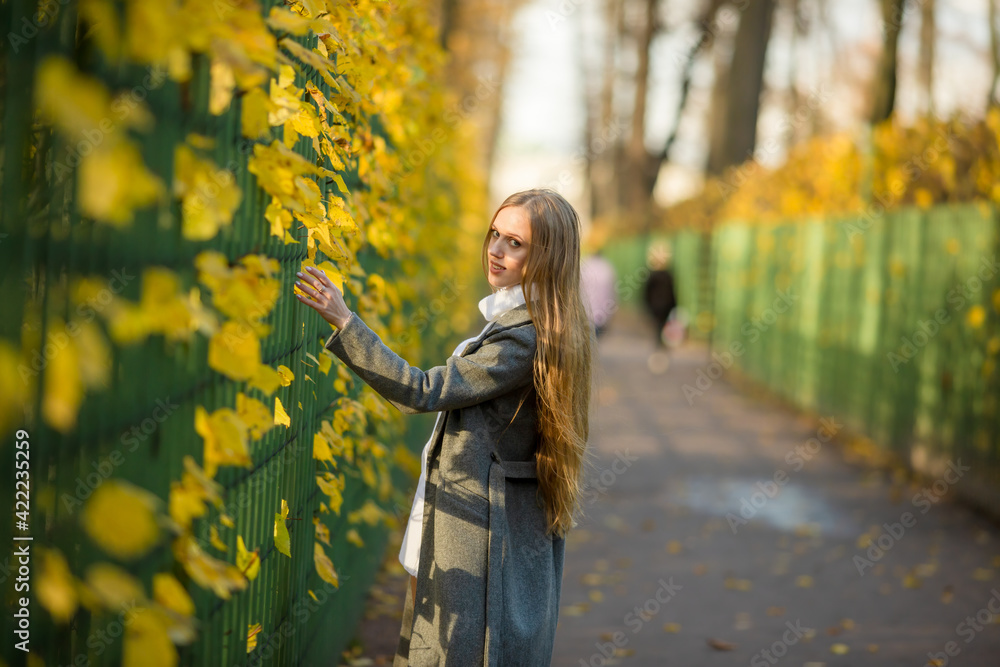 Beautiful young woman walks along the alley of the autumn park. Attractive woman with light brown hair near a green fence. Pretty woman in a gray coat. Colorful yellow foliage. Fall season.