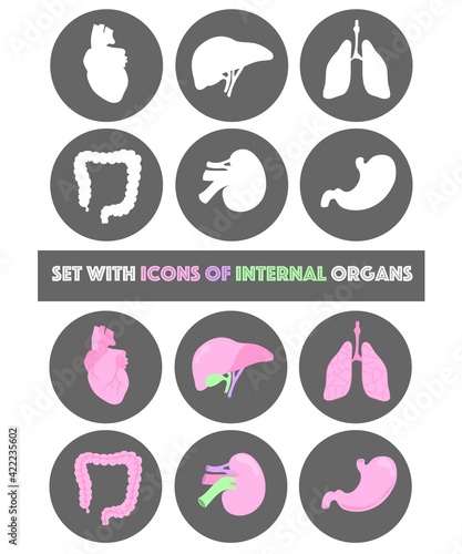 Isolated Icons with internal organs in vector illustration. Lungs, heart, liver, stomach, guts, kidney. Colorful and black and white. Web, social media and messenger icons. 