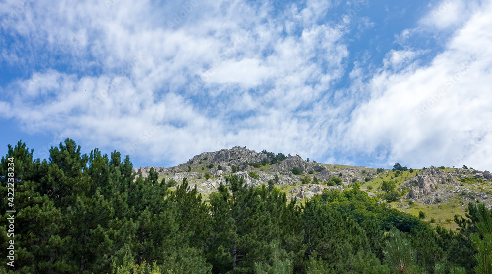 Inaccessible rocks surrounded by green forests and shrubs in hot summers in clear sunny weather. Inaccessible rocks surrounded by green forests and shrubs in hot summers in clear sunny weather.