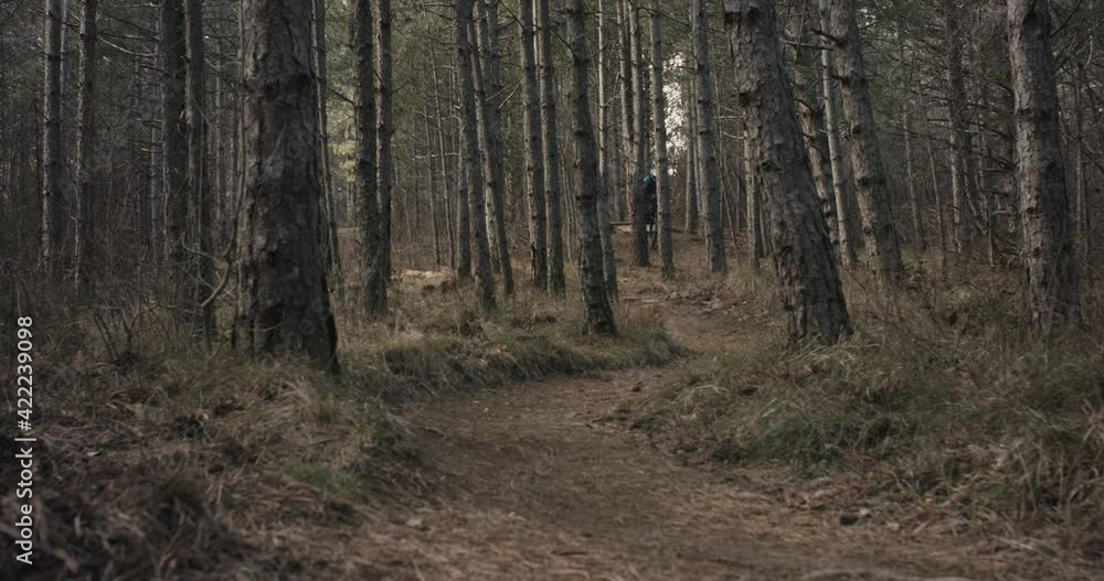 Mountain biker mtb cyclist jump ride fast forest trail in slow motion Mountain biker mtb cyclist jump ride fast forest trail in slow motion