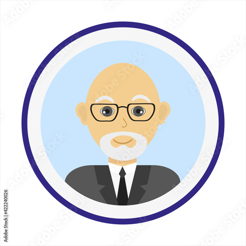 Mature bold man face with white beard and mustache and wearing glasses. Male face. Man avatar on blue background. Handsome man portrait. Isolated flat vector illustration.