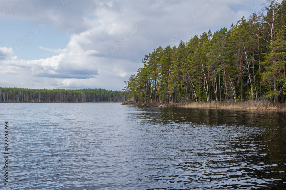 Naklejka premium View of The Repovesi National Park, lake and forest, Kouvola, Finland