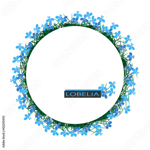 Circle frame with blue lobelia flowers. Background with copy space for design. Flat style.