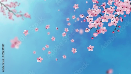 CHERRY PINK FLOWER BLOSSOM. SPRING ANIMATION. FLYING PETAL
