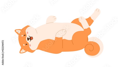 Cute kawaii dog of Shiba Inu breed lying belly up. Adorable playful puppy isolated on white background. Happy funny Japanese doggy. Colored flat vector illustration of sweet joyful Akita