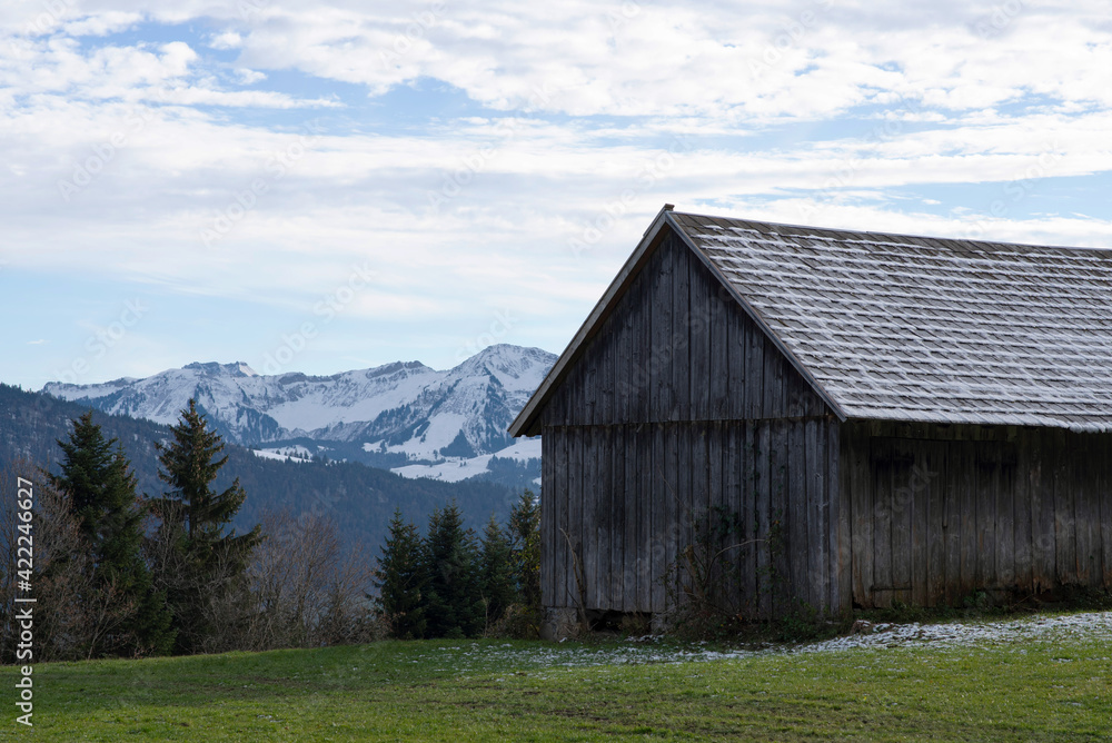 Early spring scene with old wooden barn, pine trees, mountains and blue sky. Bavaria, Alps, Allgau, Germany.