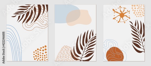 Set of trending templates, abstract shapes and botanical elements, palm leaf, exotic plants, minimalism, hand drawn. Poster, room interior decor, design for textiles, postcard, concept, Vector