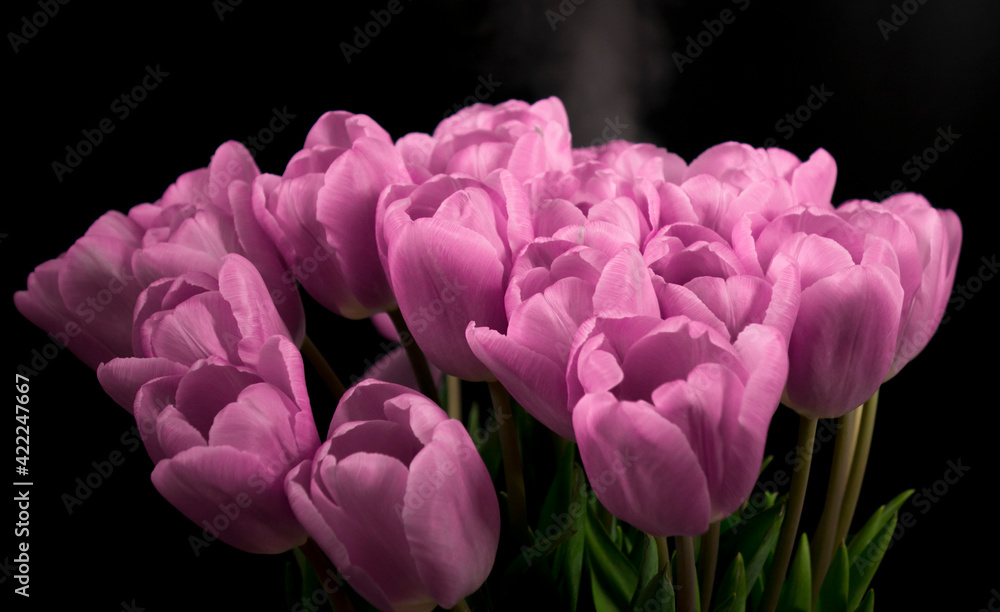 Fototapeta premium A bouquet of purple tulips on a black background.