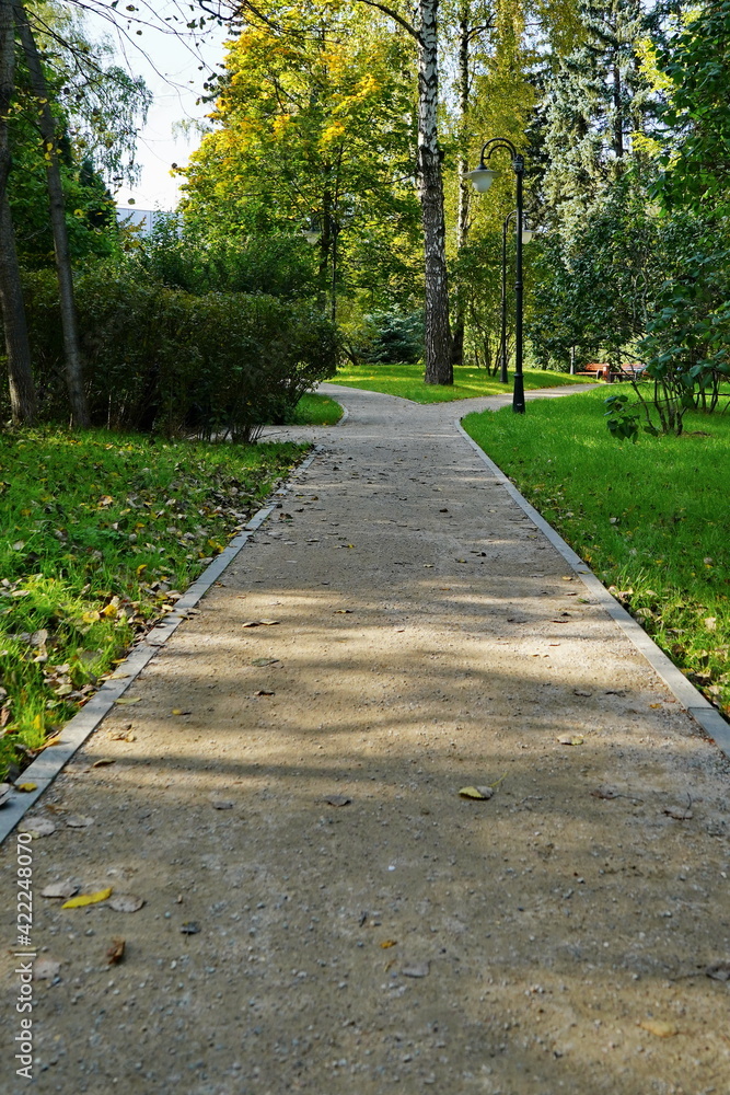 Paths in the autumn city park.