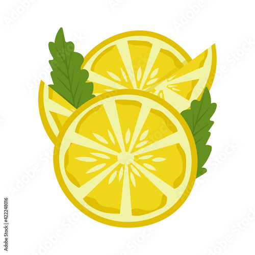 Lemon slices isolated on white background. Vector illustration.