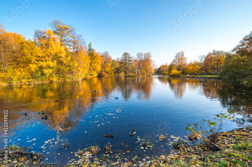 View of city park in autumn