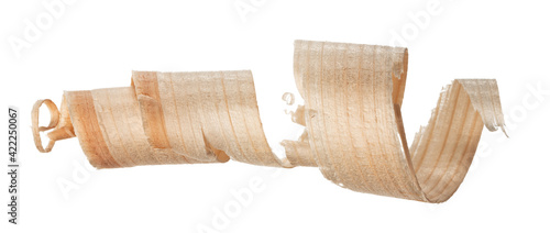Photos Curly wood shaving isolated on white background
