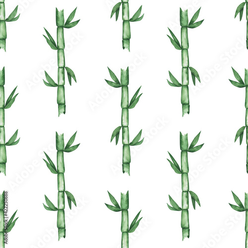 Fototapeta Naklejka Na Ścianę i Meble -  Bamboo seamless pattern on a white background. Watercolor bamboo branch endless print. Hand-drawn Asian garden tree illustration. Green wallpaper for your design.